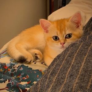 Meet your Posher, Eduardo